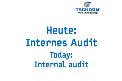 Internes Audit